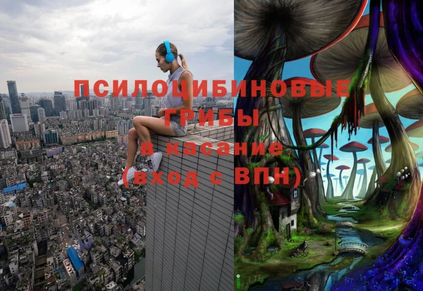 меф Дмитровск