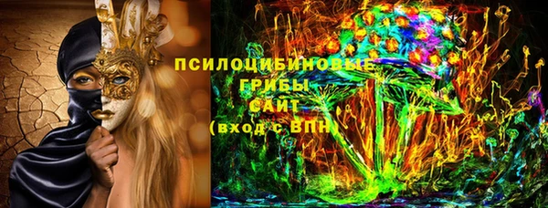 PSILOCYBIN Щёлкино