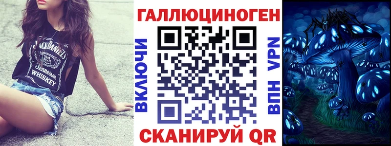 как найти закладки  Кяхта  Псилоцибиновые грибы мицелий 